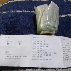 伊賀焼人気作家新学伊賀焼締めぐい飲み