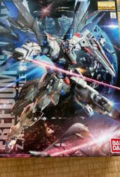 MG 1/100 フリーダムガンダム Ver.2.0 ガンダムSEED