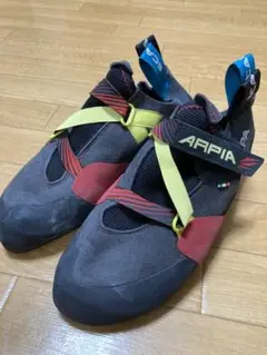 ARPIA
